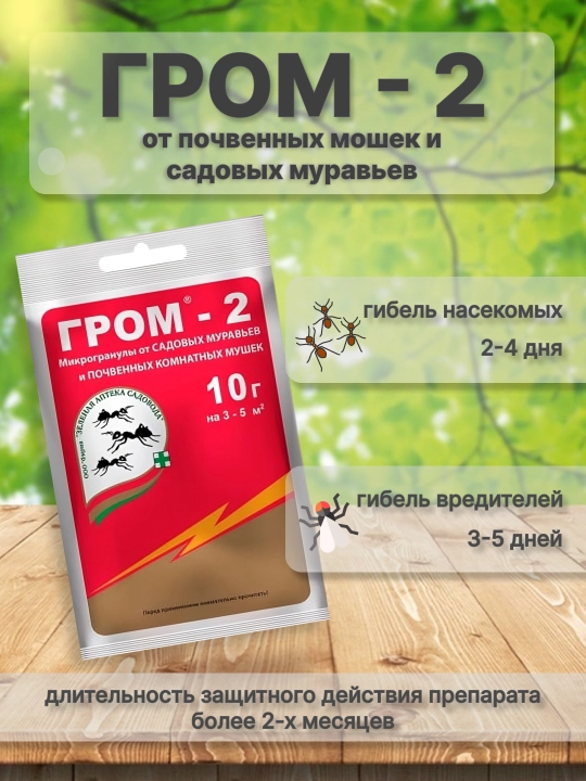 Микрогранулы от садовых муравьев и почвенных комнатных мушек Гром 2, 10 г - 