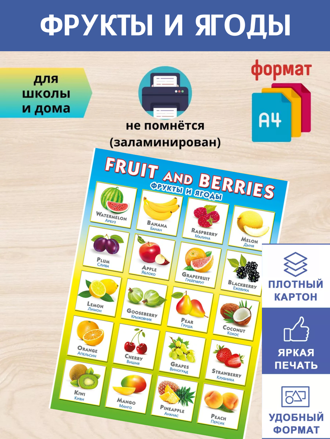 Bolalar uchun o'quv plakatlar А4 formatda - 
