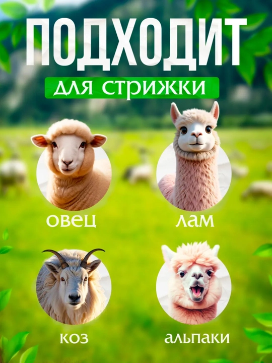 Qo‘chqor, echki, hayvonlarning junini qirqish mashinasi, gruming va tafting apparatlari