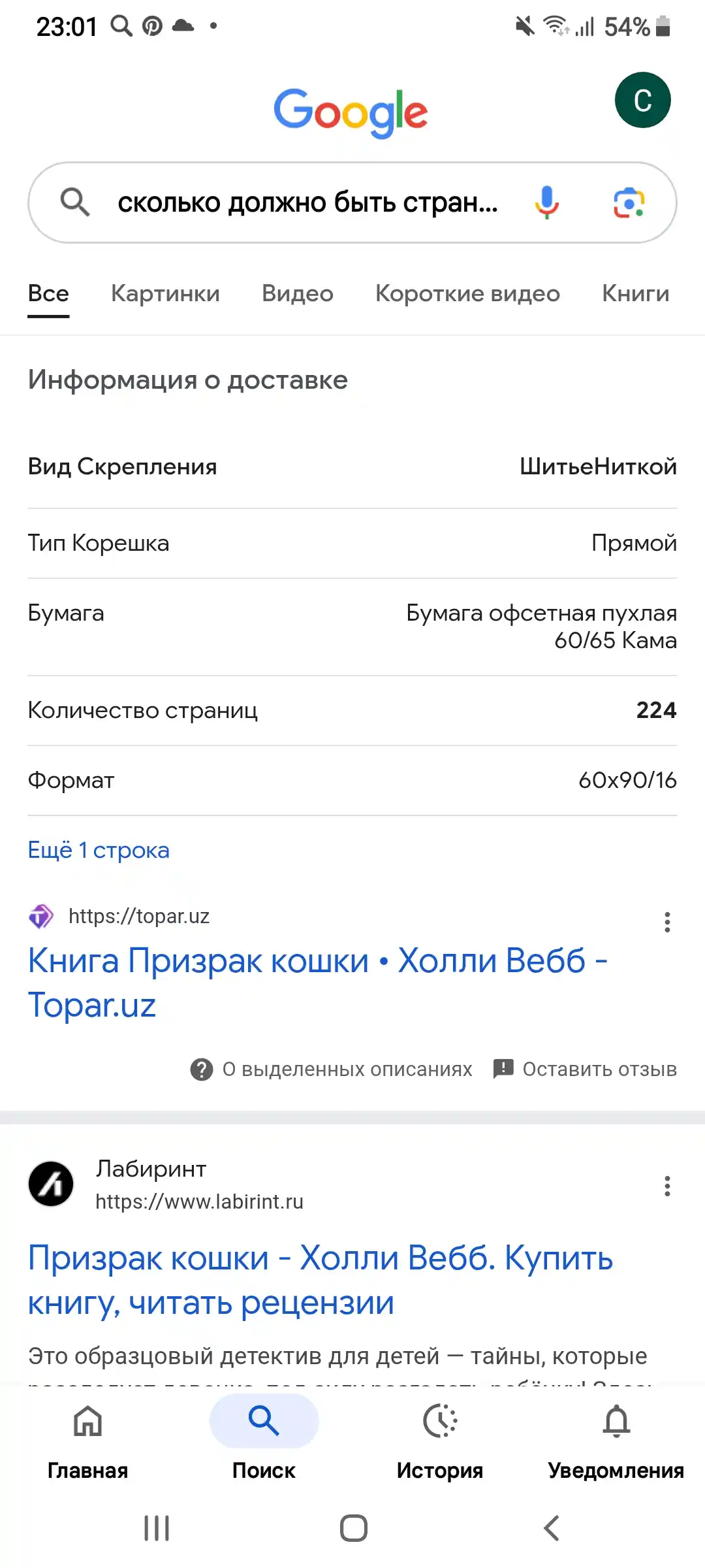 Мейзи Хитчинс: Призрак кошки, Холли Вебб
