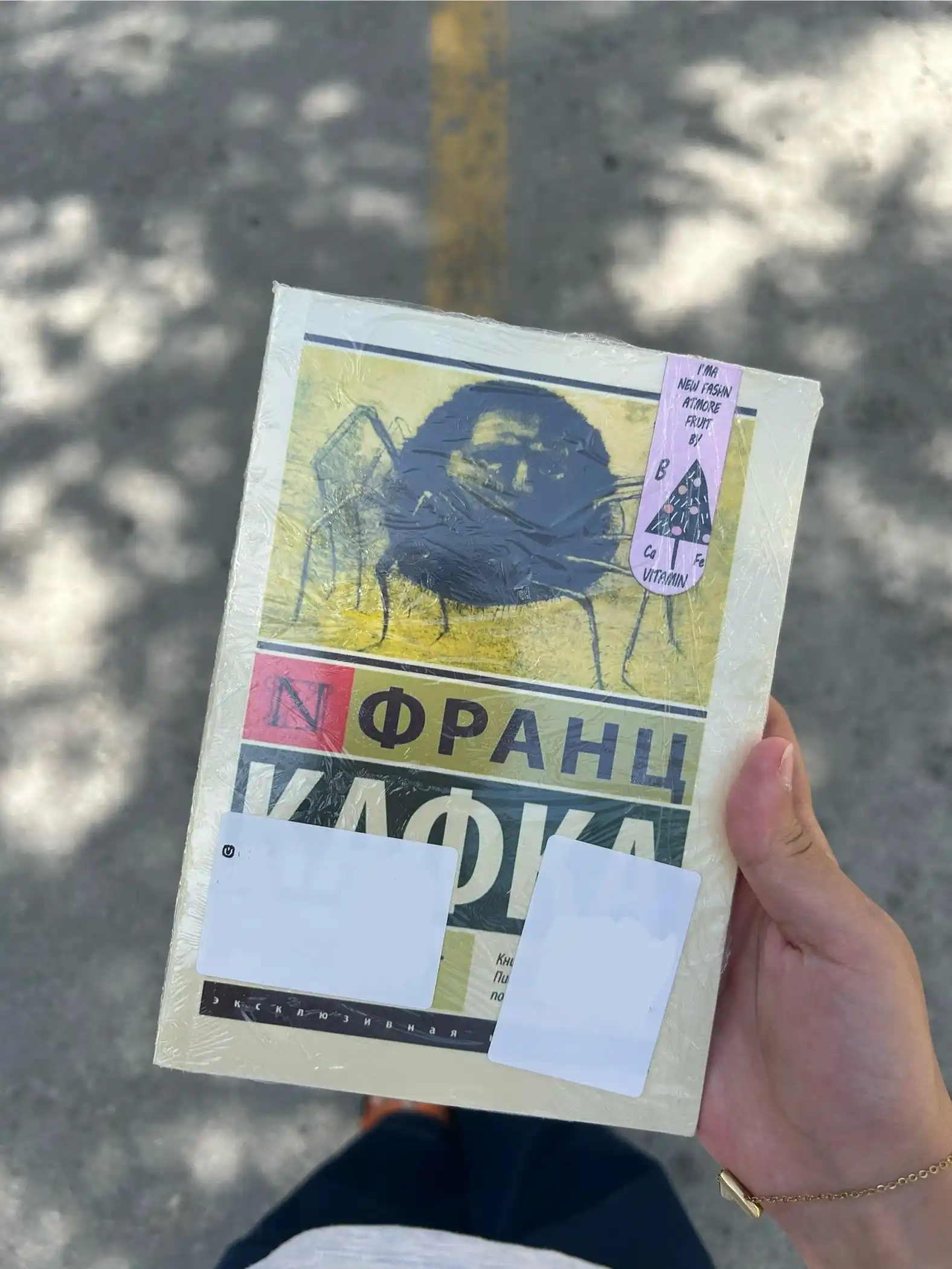 Prevrashcheniye, Frants Kafka
