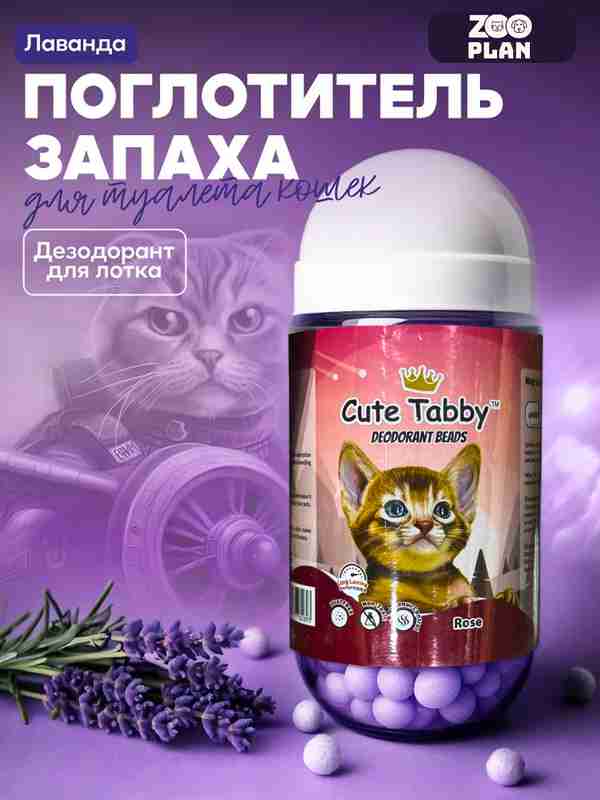 Kokrak nasos bilan chozilgan