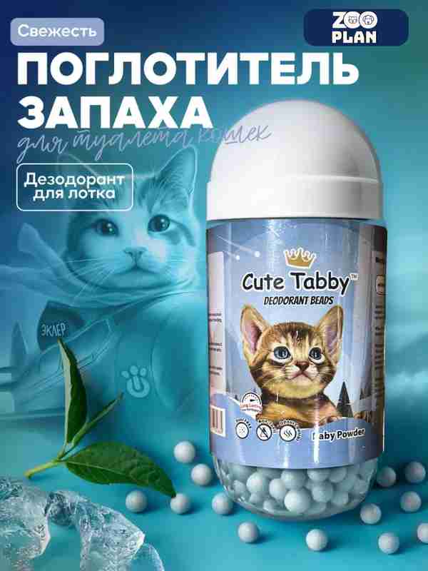 Hojatxonada uning mushuk barmoqlarini