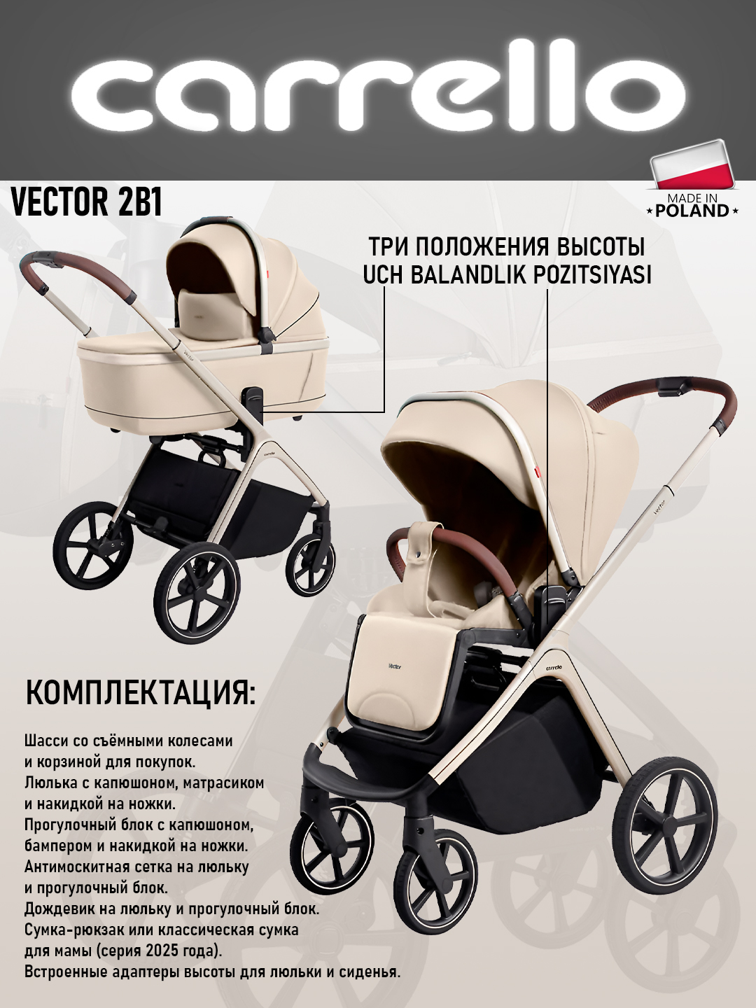 Детская коляска Carrello 2 в 1, модель Vector