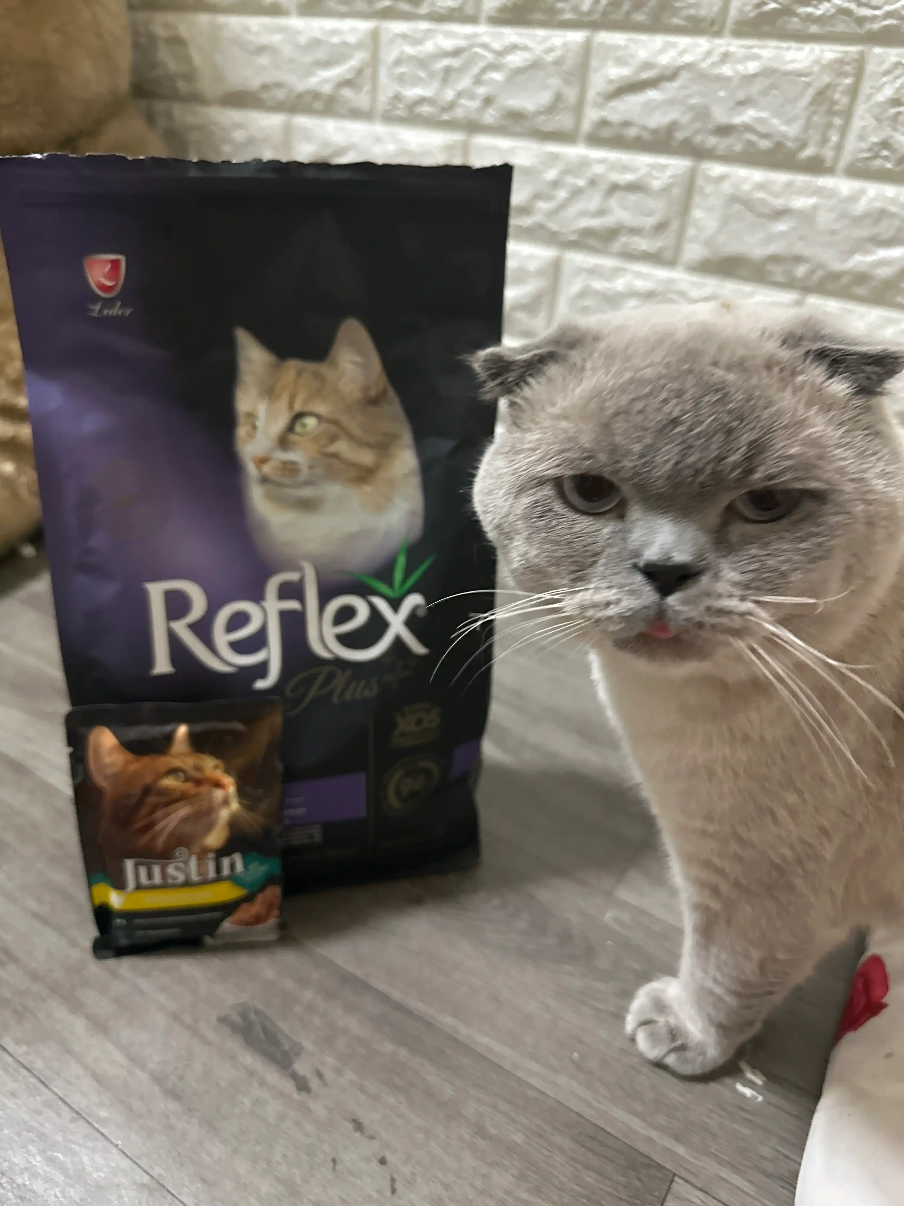 Reflex Plus Skin Care bu mushuklar uchun terini parvarishlashga mo‘ljallangan 1.5 kg