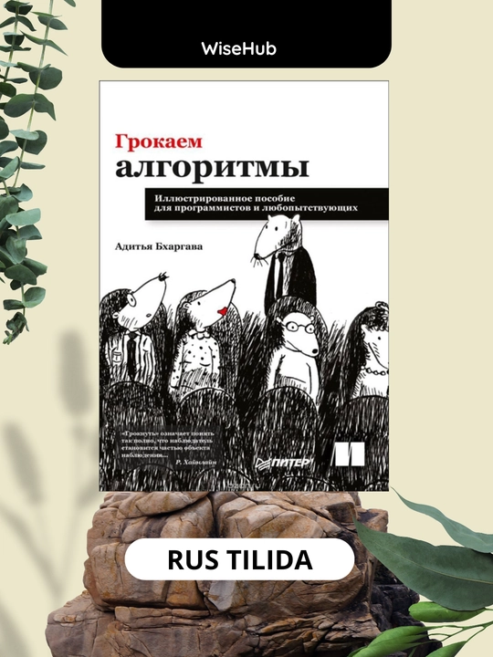 Grokking Algorithms. Aditya Bhargava, programirovaniye rus tilida - 