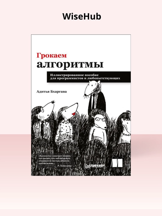 Grokking Algorithms. Aditya Bhargava, programirovaniye rus tilida