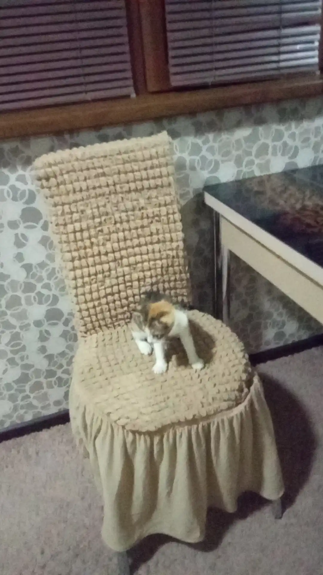 Чехол на стулья со спинкой