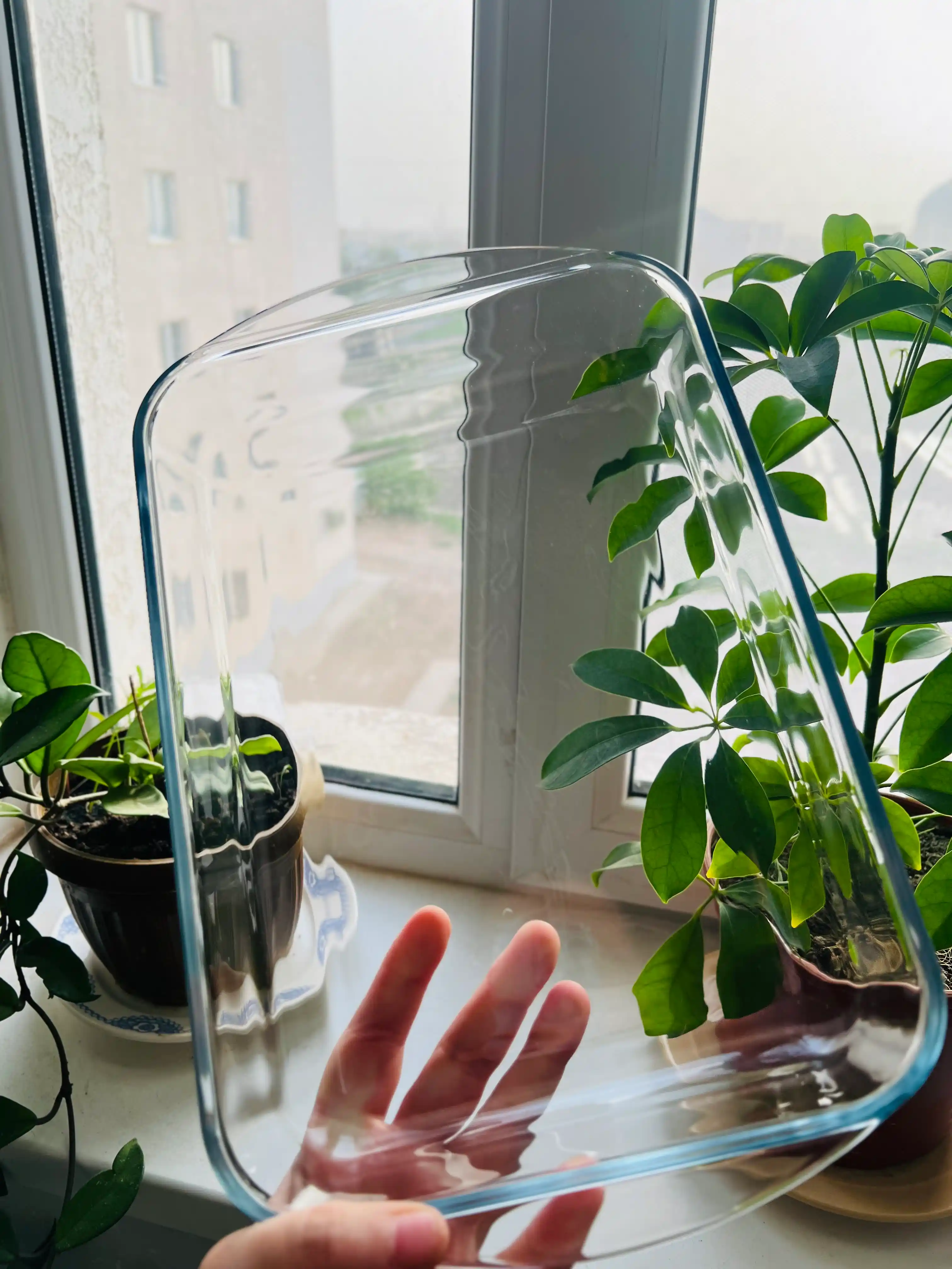 Стеклянная посуда для запекания в духовке, жаропрочная, 1.8 л
