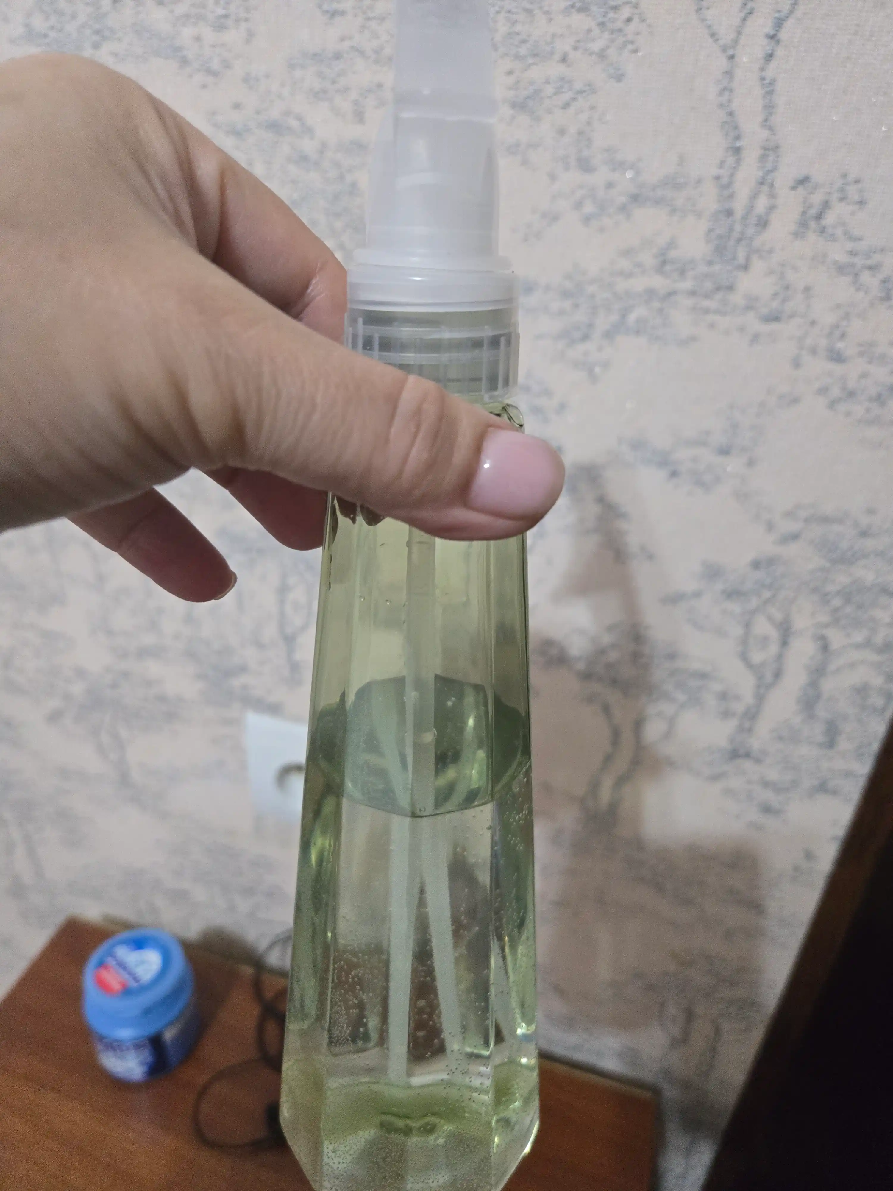 Purkagich, gul va o‘simliklar uchun purkagich, purkagich, 380 ml