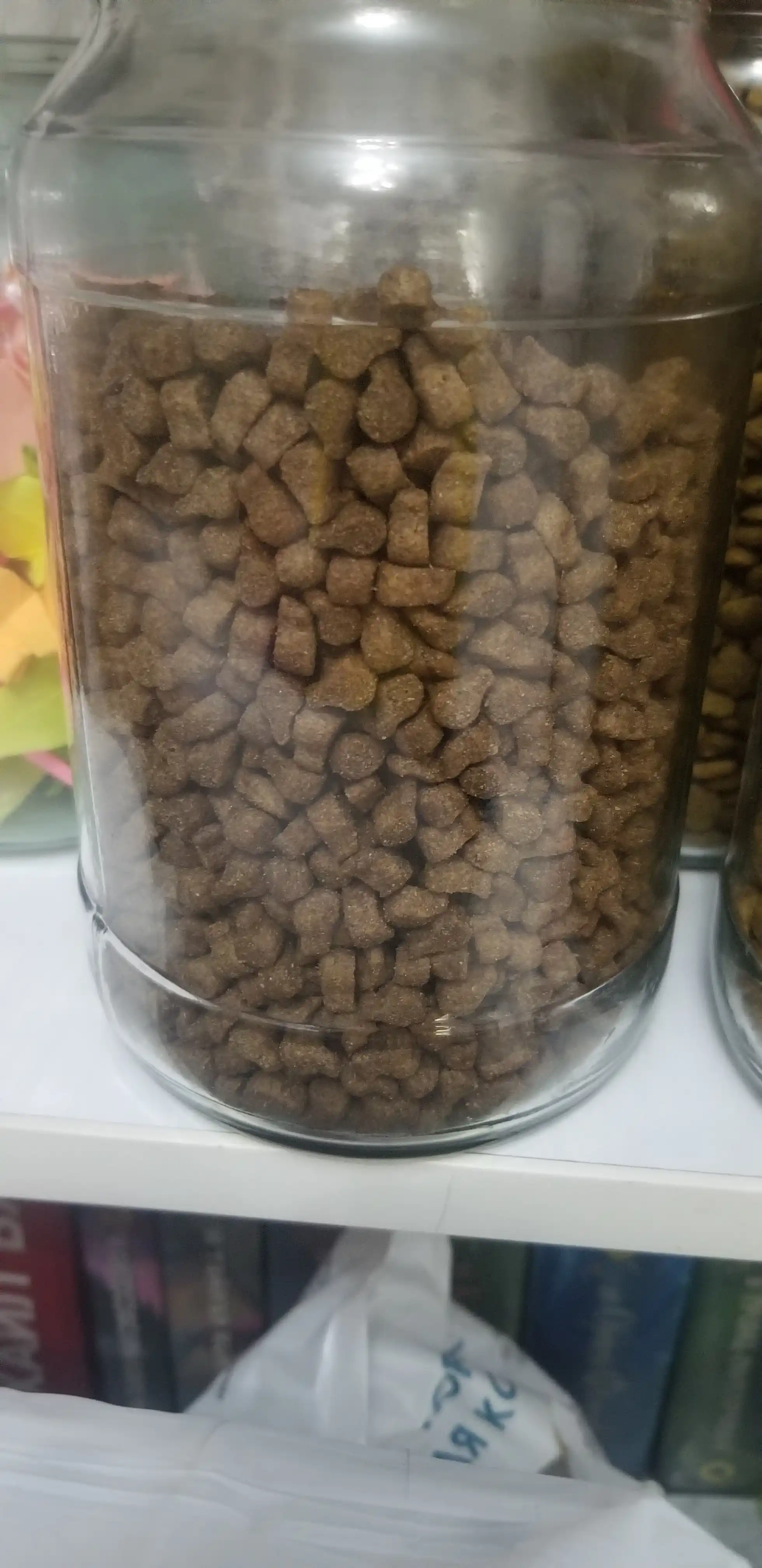 ProXвост mushuklar uchun quruq yem quyon goshti bilan 350 gr
