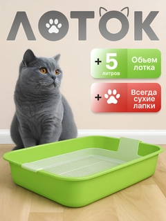 Салатовый