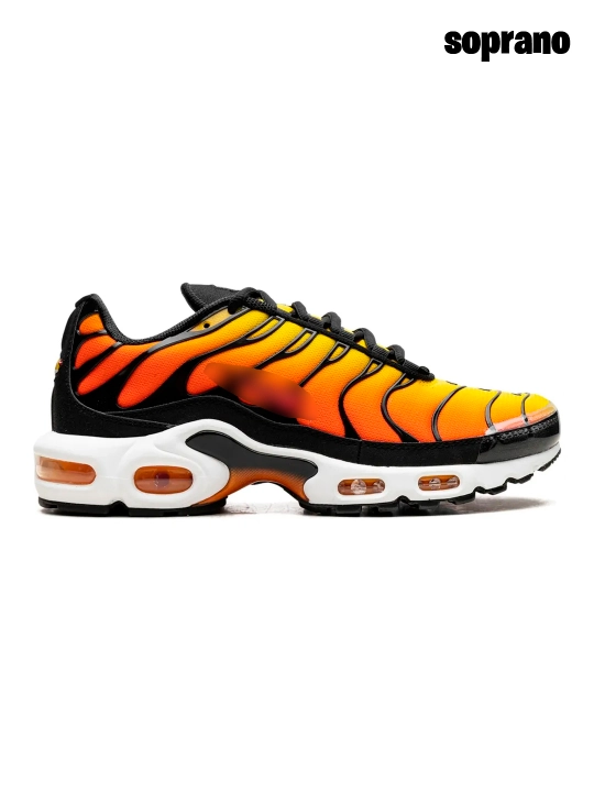 Erakalar va ayollar uchun krossovkalar, Nike Air Max Plus TN, Nocta, Gore Tex sport, 40-45