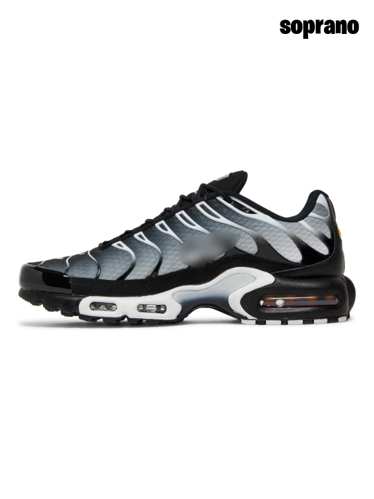 Erakalar va ayollar uchun krossovkalar, Nike Air Max Plus TN, Nocta, Gore Tex sport, 40-45