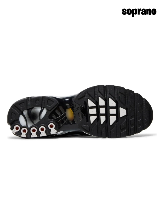 Erakalar va ayollar uchun krossovkalar, Nike Air Max Plus TN, Nocta, Gore Tex sport, 40-45