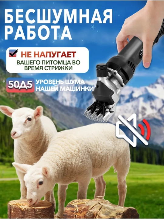 Qo‘chqor, echki, hayvonlarning junini qirqish mashinasi, gruming va tafting apparatlari