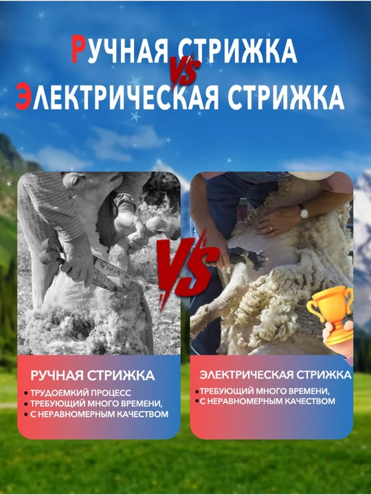 Qo‘chqor, echki, hayvonlarning junini qirqish mashinasi, gruming va tafting apparatlari