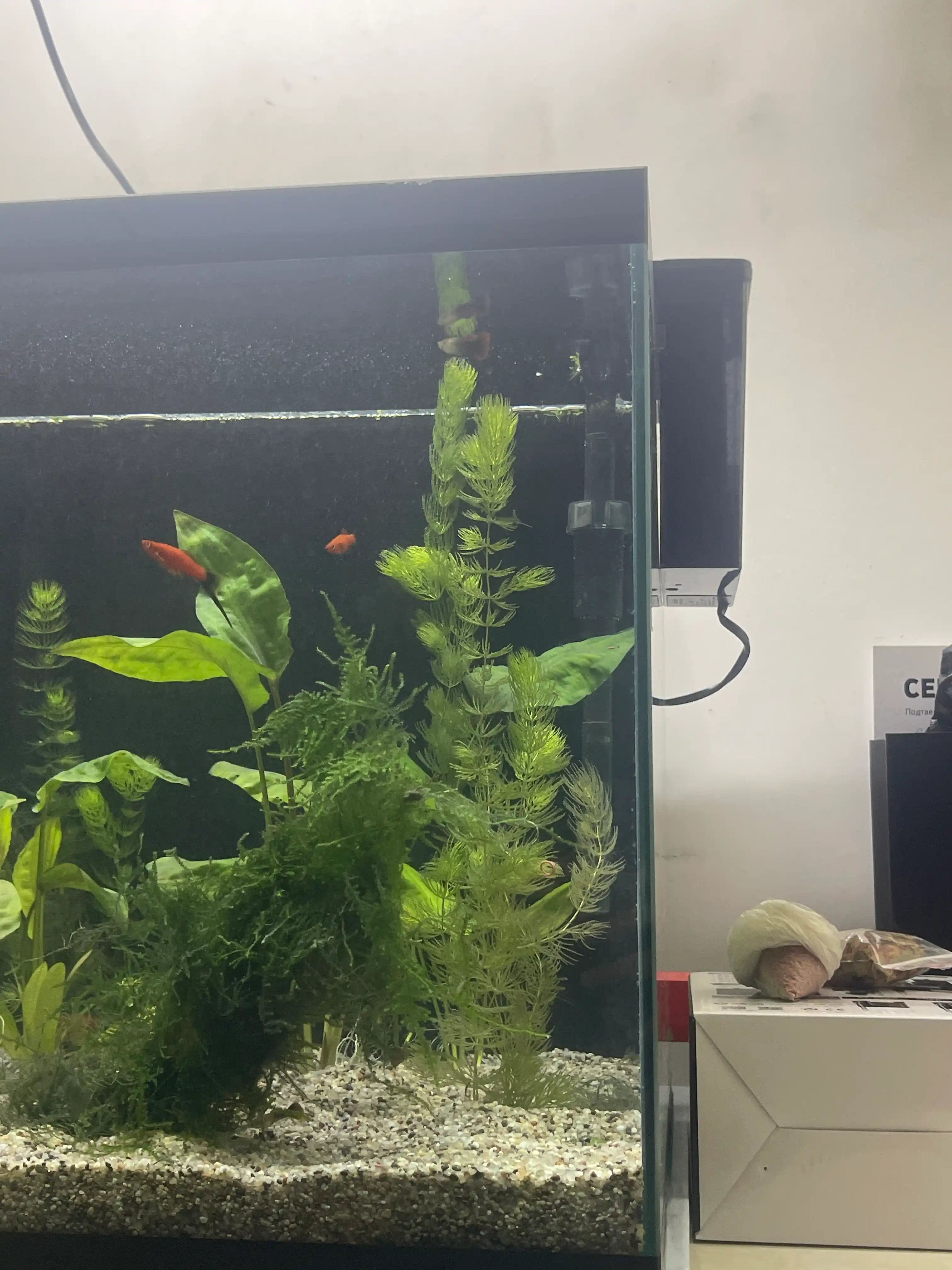 Tashqi filtr Atman HK-0400
