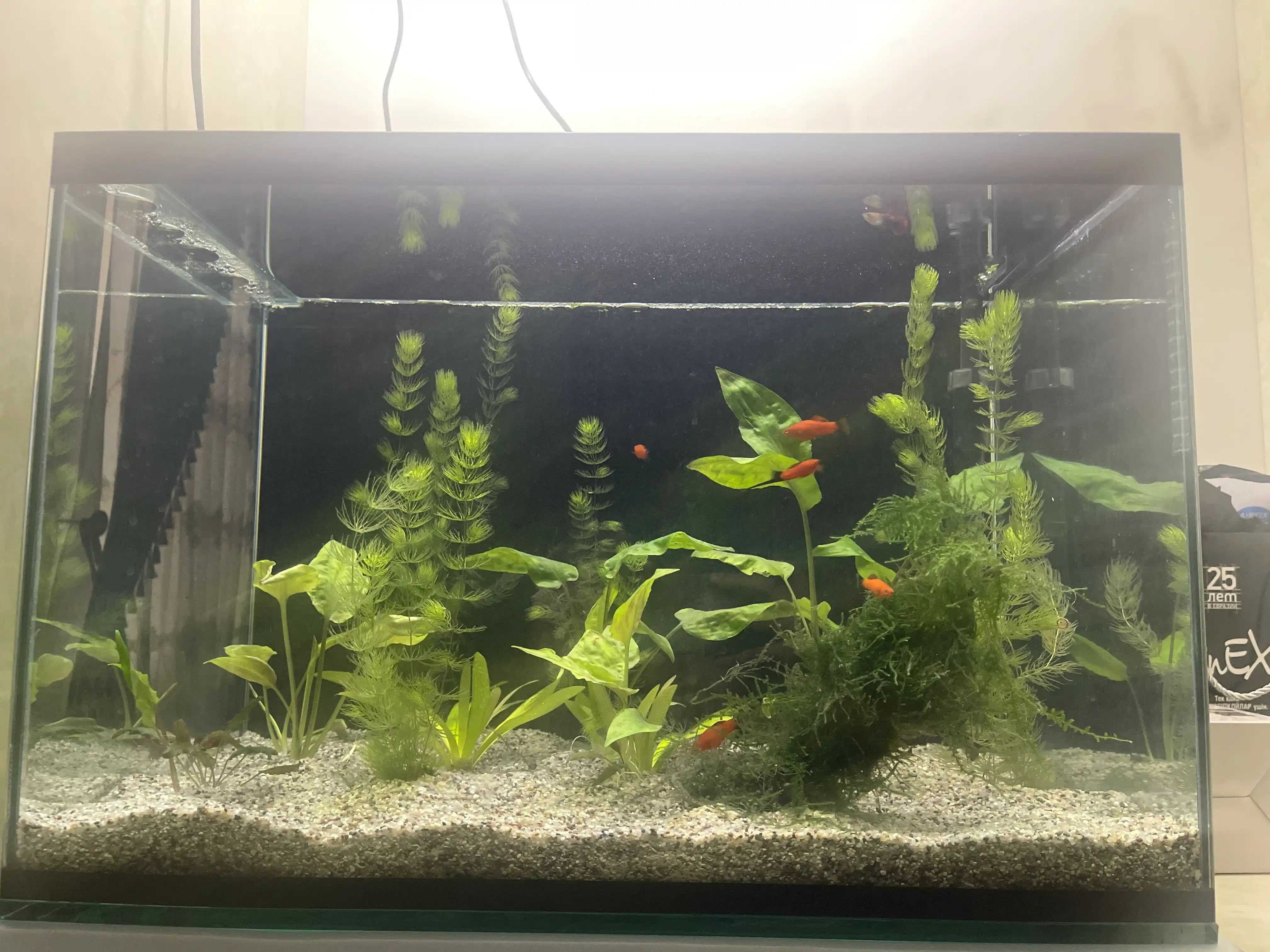 Tashqi filtr Atman HK-0400