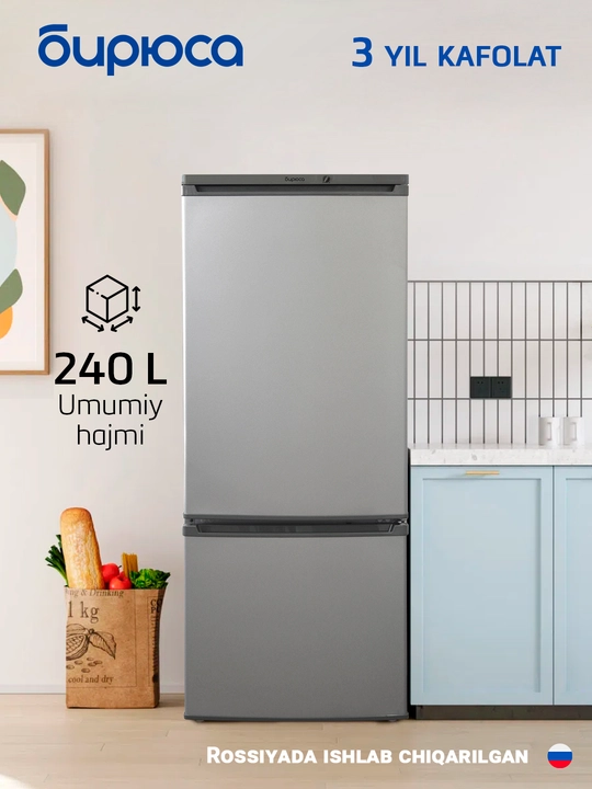 Ikki kamerali muzlatgich Бирюса M551, hajmi 240 litr