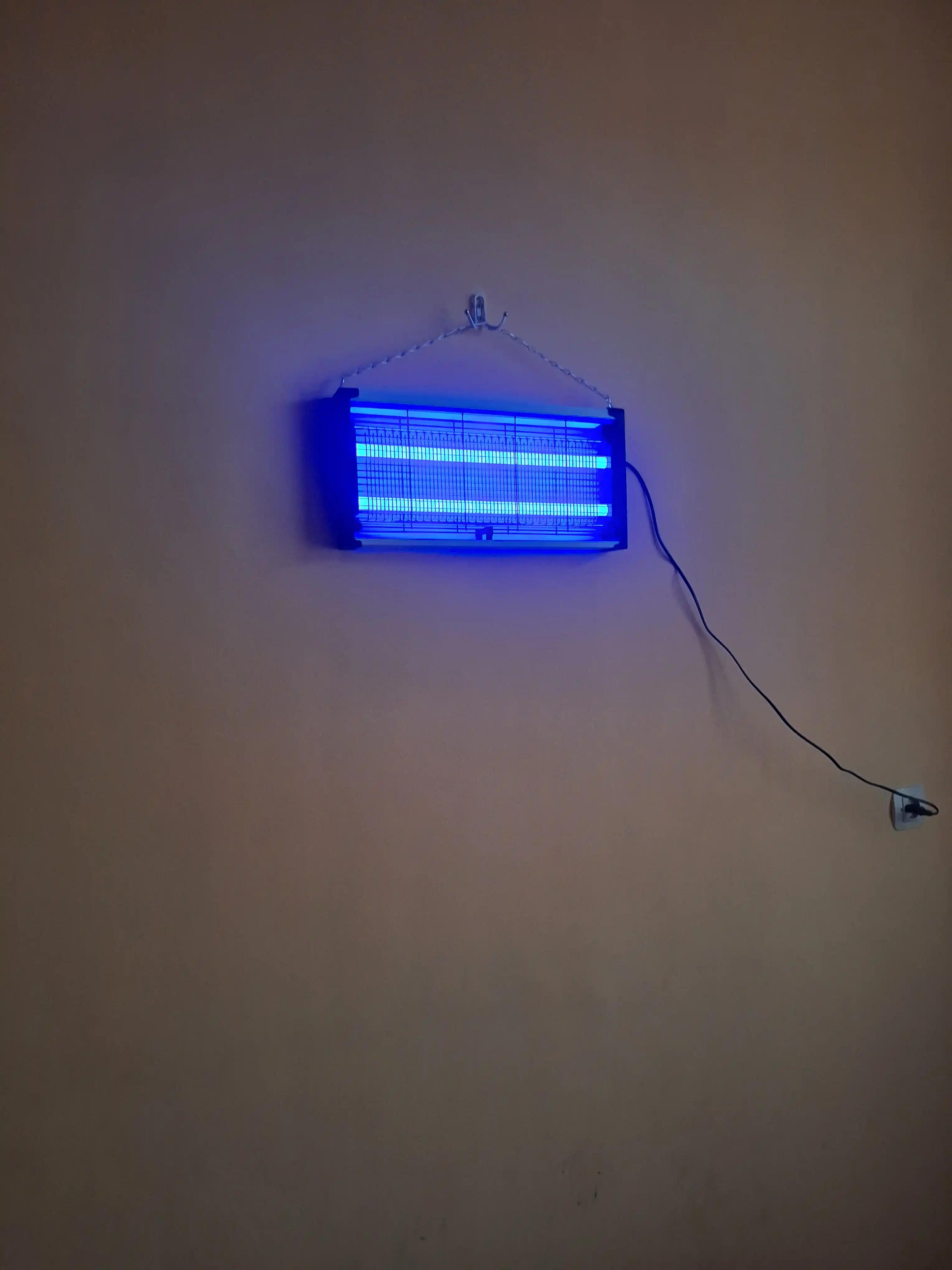 Elektr tuzoq, chivinlar, pashshalar va hasharotlar uchun, hasharotlar qotili, 3 dona