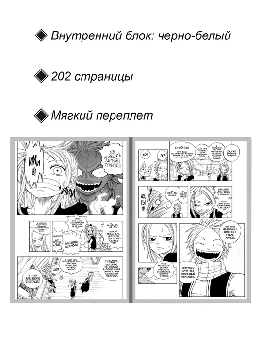 Fairy Tail, 2 tom