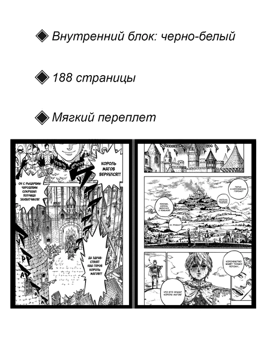 Чёрный клевер, 1 том