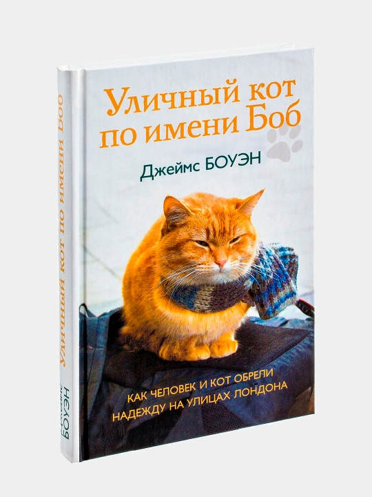 Уличный кот по имени Боб. Джеймс Боуэн
