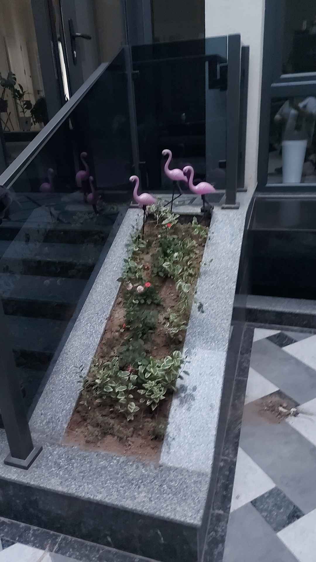 Hammomda rus lesbian porno