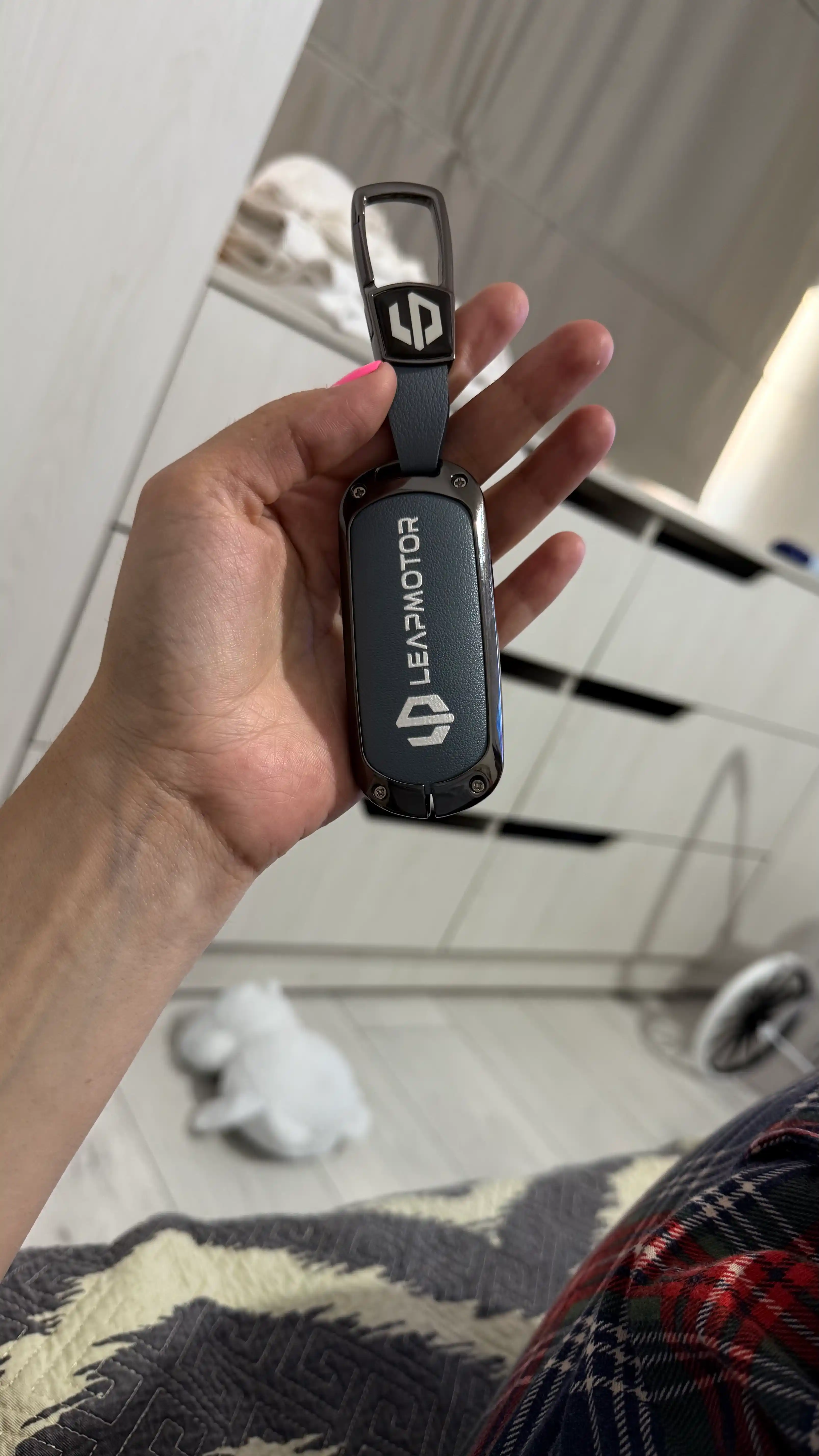 Leapmotor C01, C11, C16 avtomobili kaliti uchun metal va kojadan qilingan g'ilof