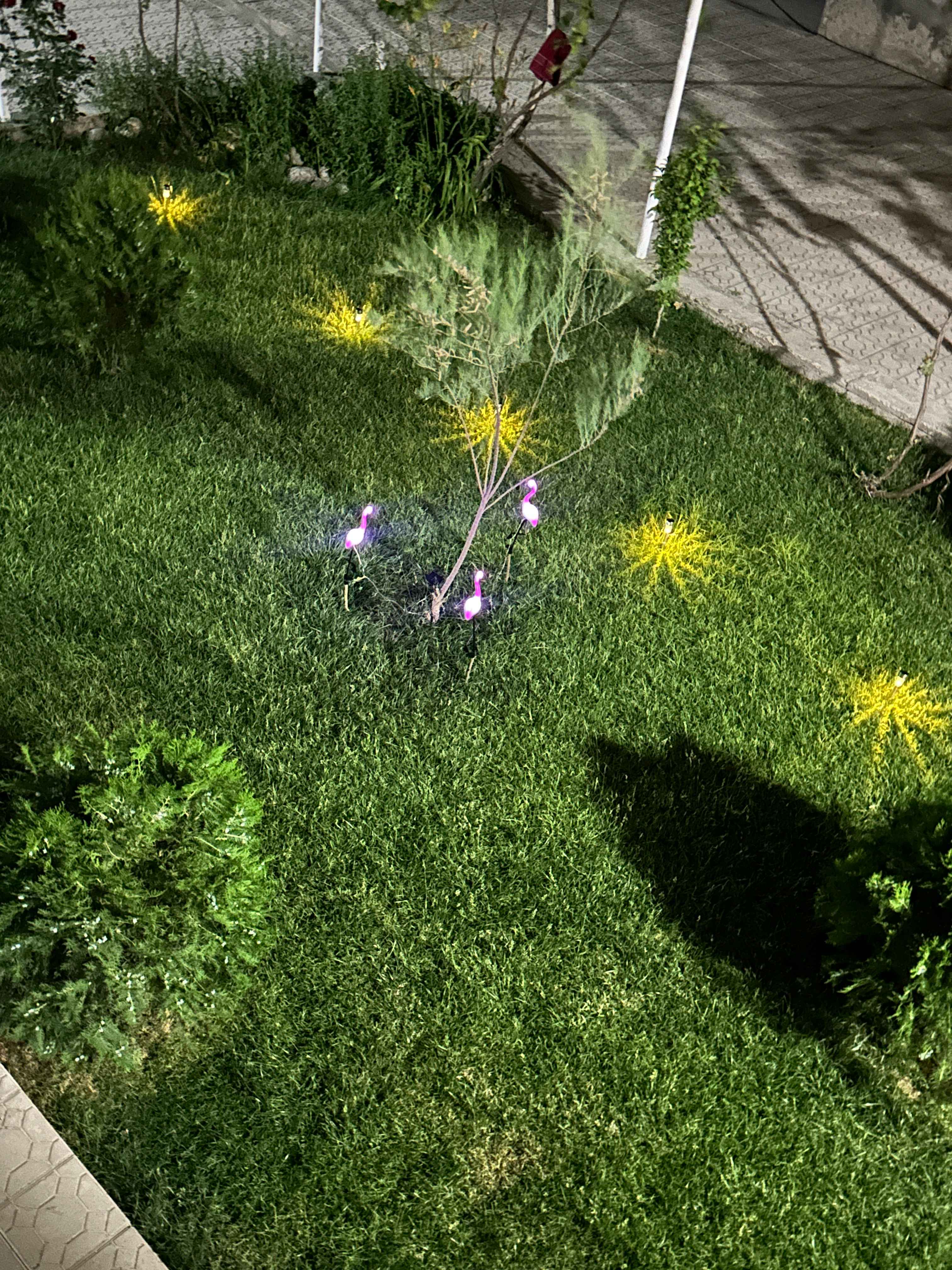 Qizlar ustidan josuslik video porno