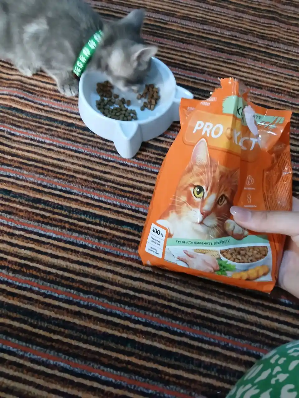 ProXвост mushuklar uchun quruq yem quyon goshti bilan 350 gr