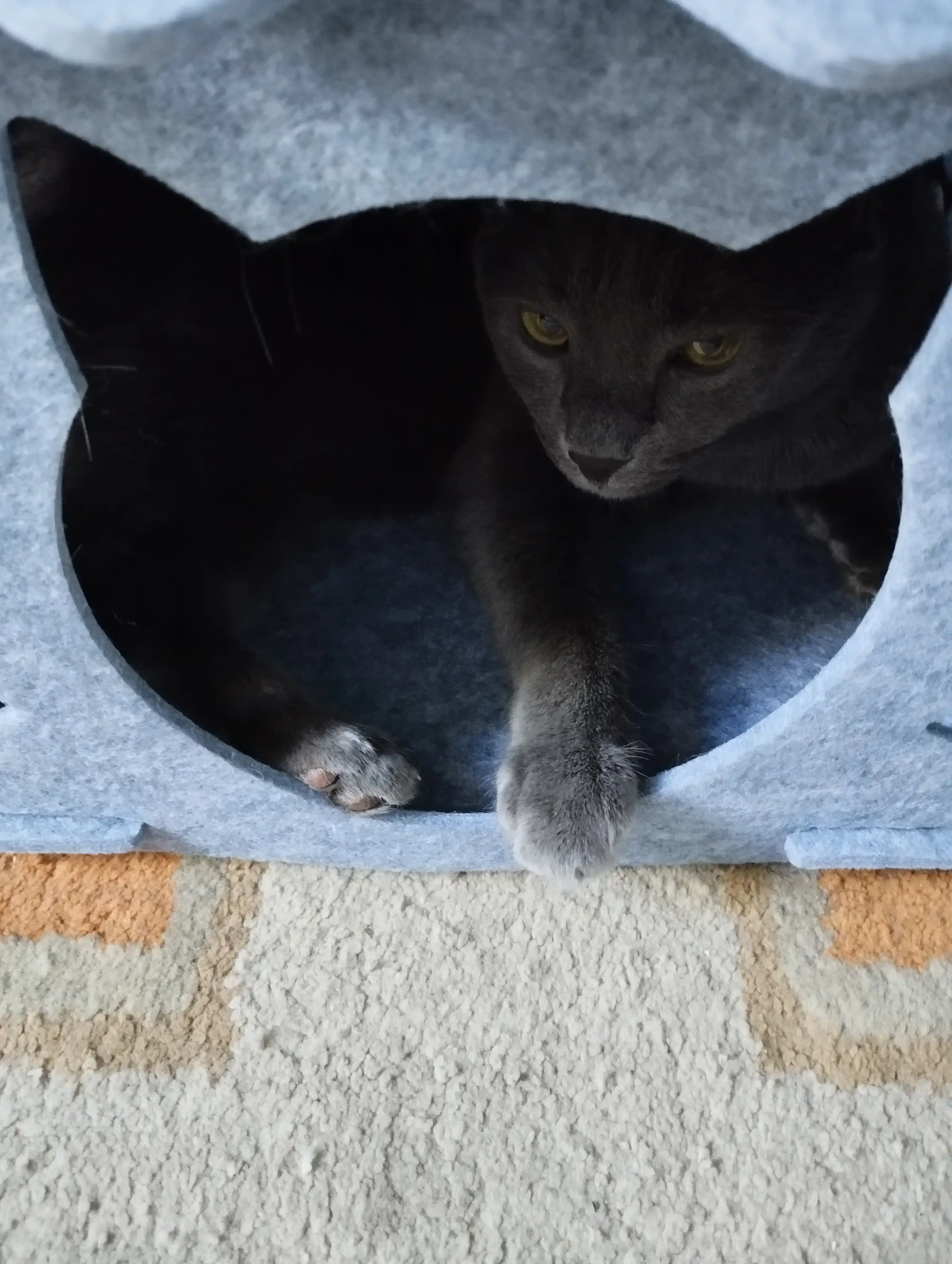 Дом для кошек, 34*33,2*40 см