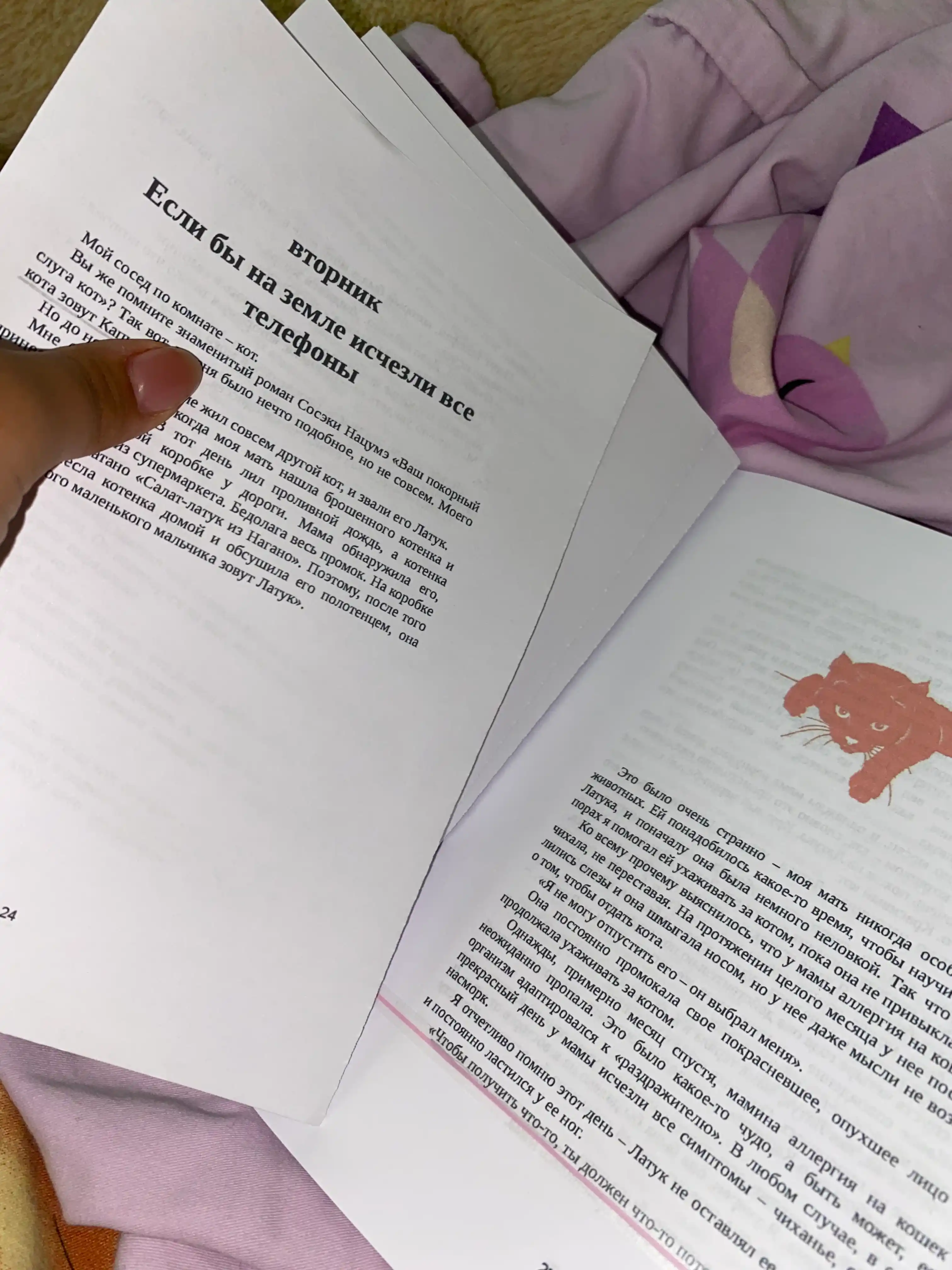 Yesli vse koshki v mire ischeznut, Kavamura Genki
