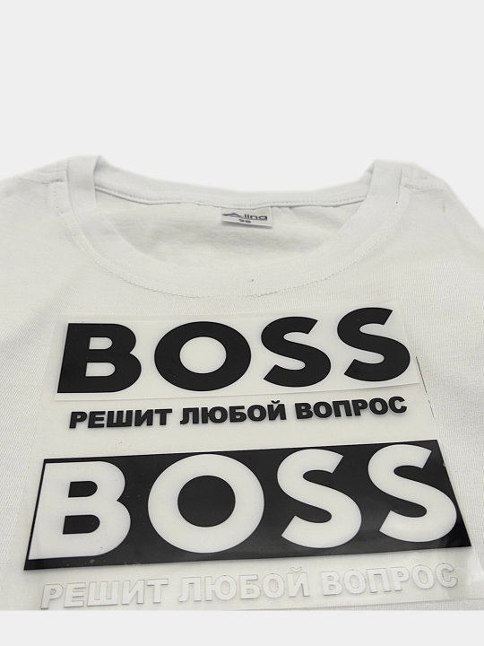 DTF наклейка на одежду BOSS решит любой вопрос, 15*15