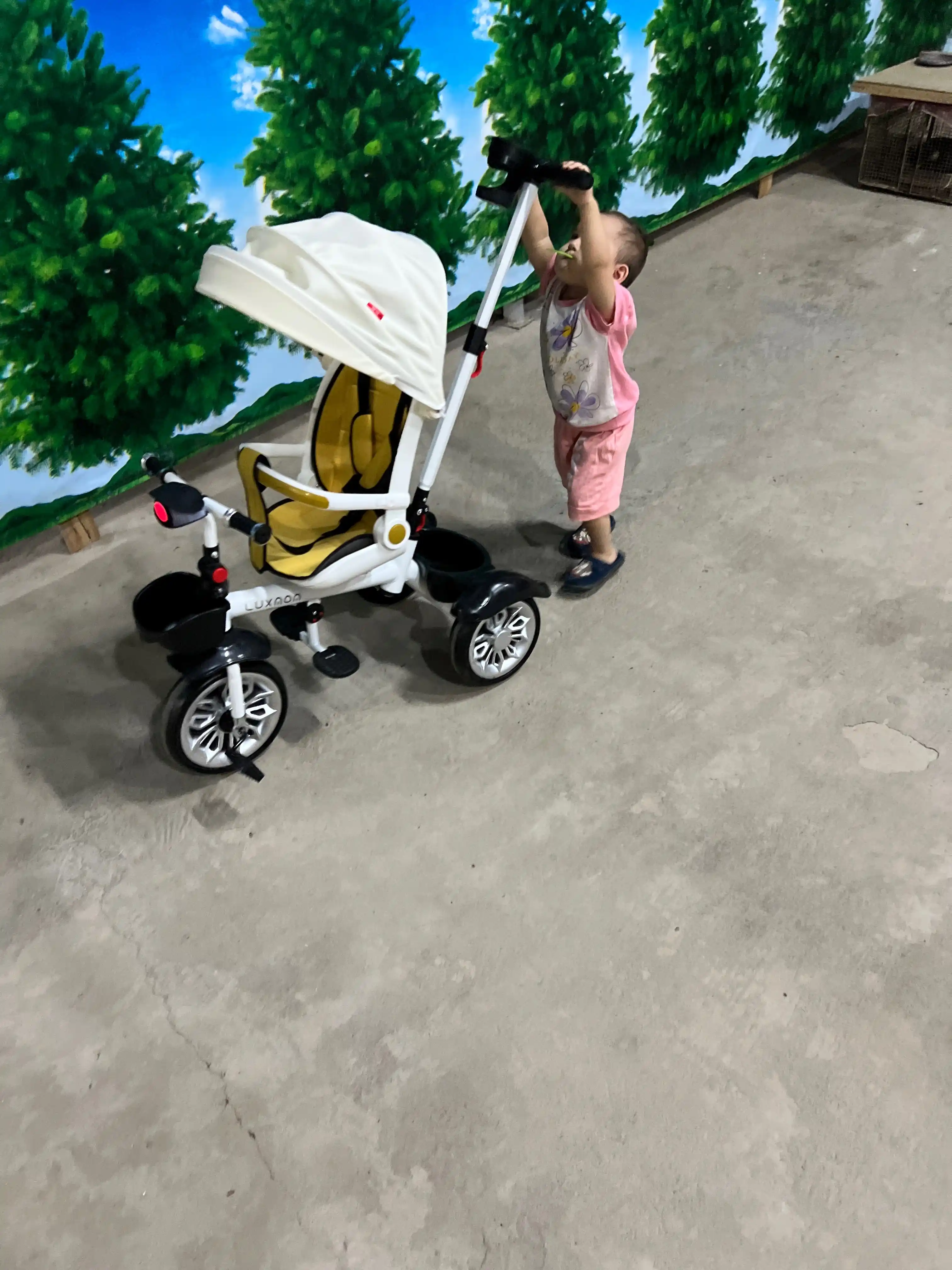 Velosiped aravachasi, 3 g'ildirakli, 360 aylanadigan o'rindiq bilan