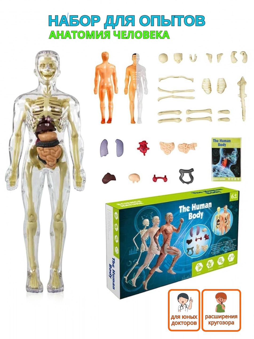 Katta chiroyli azolar Katta chiroyli azolar