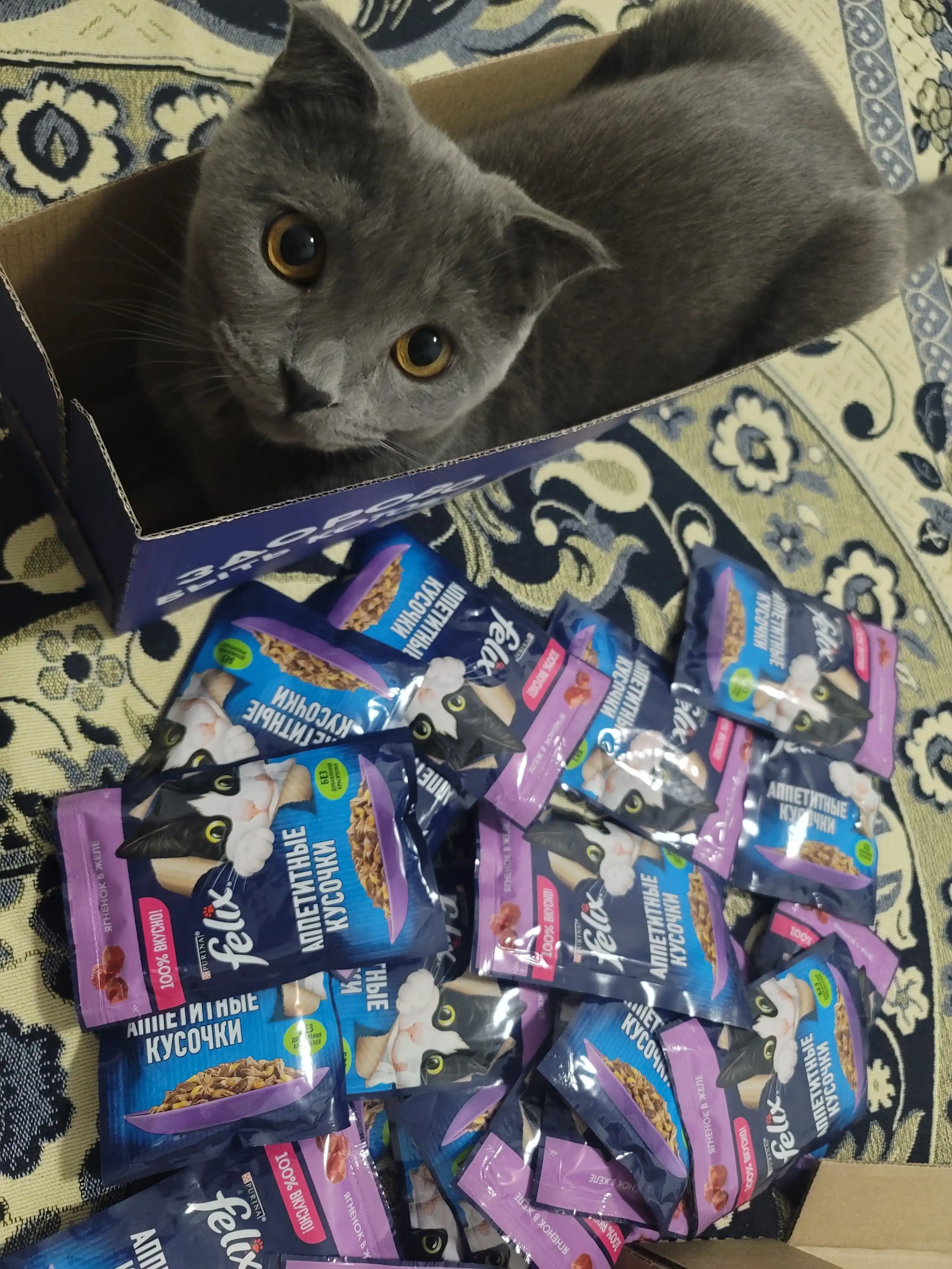 Felix mushuklar uchun nam yem, mol go'shti bilan, 75 gr 26 dona