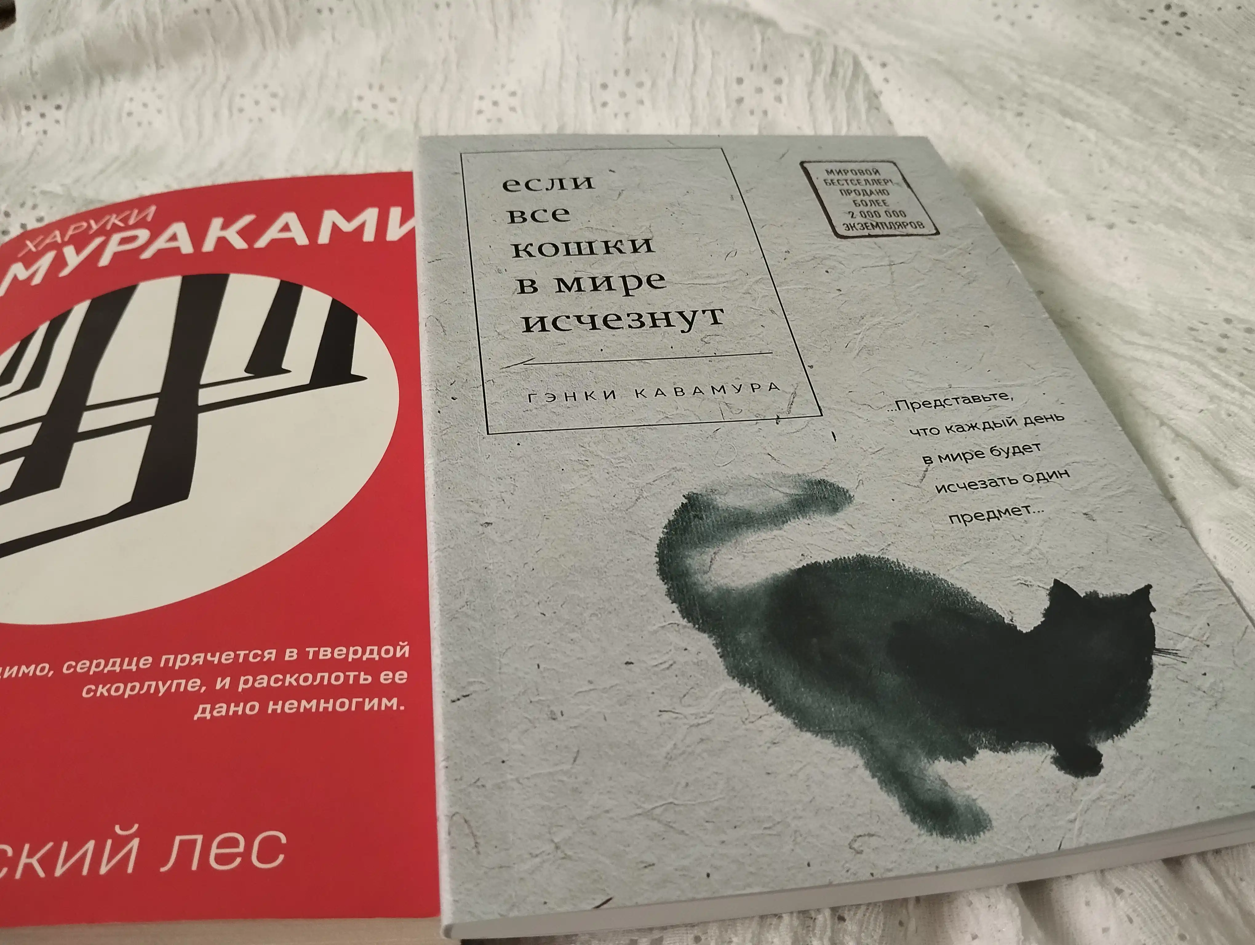 Yesli vse koshki v mire ischeznut, Kavamura Genki