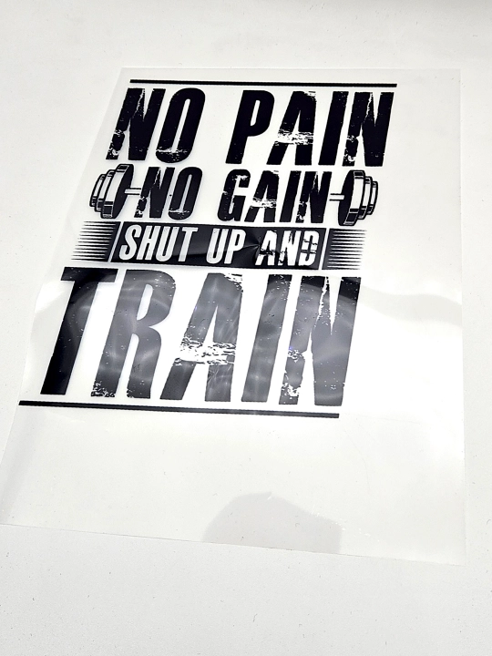 DTF наклейка на одежду No Pain, 15*15