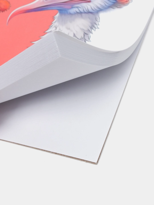 Блокнот SketchBook Premium серия Модные страусы, A5ф, 40 листов