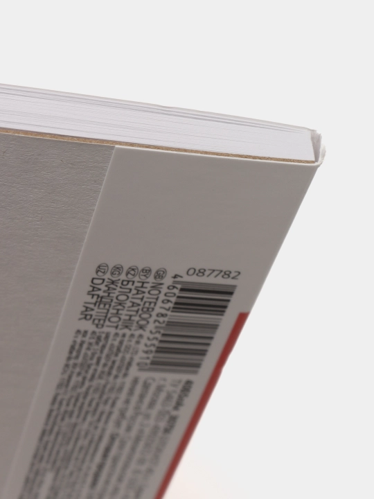 Блокнот SketchBook Premium серия Модные страусы, A5ф, 40 листов
