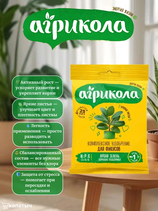 Agrikola fikusi uchun kompleks o'g'it - 