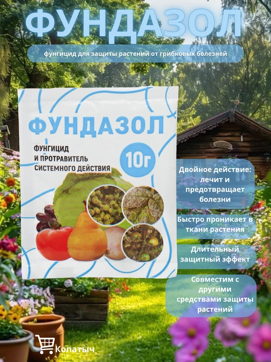 Fungitsid va tizimli davolash vositasi, Fundazol, 10 gr - 