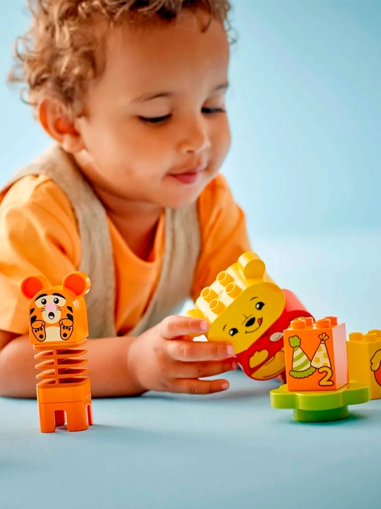 Конструктор LEGO DUPLO 10457 день рождения Винни Пуха