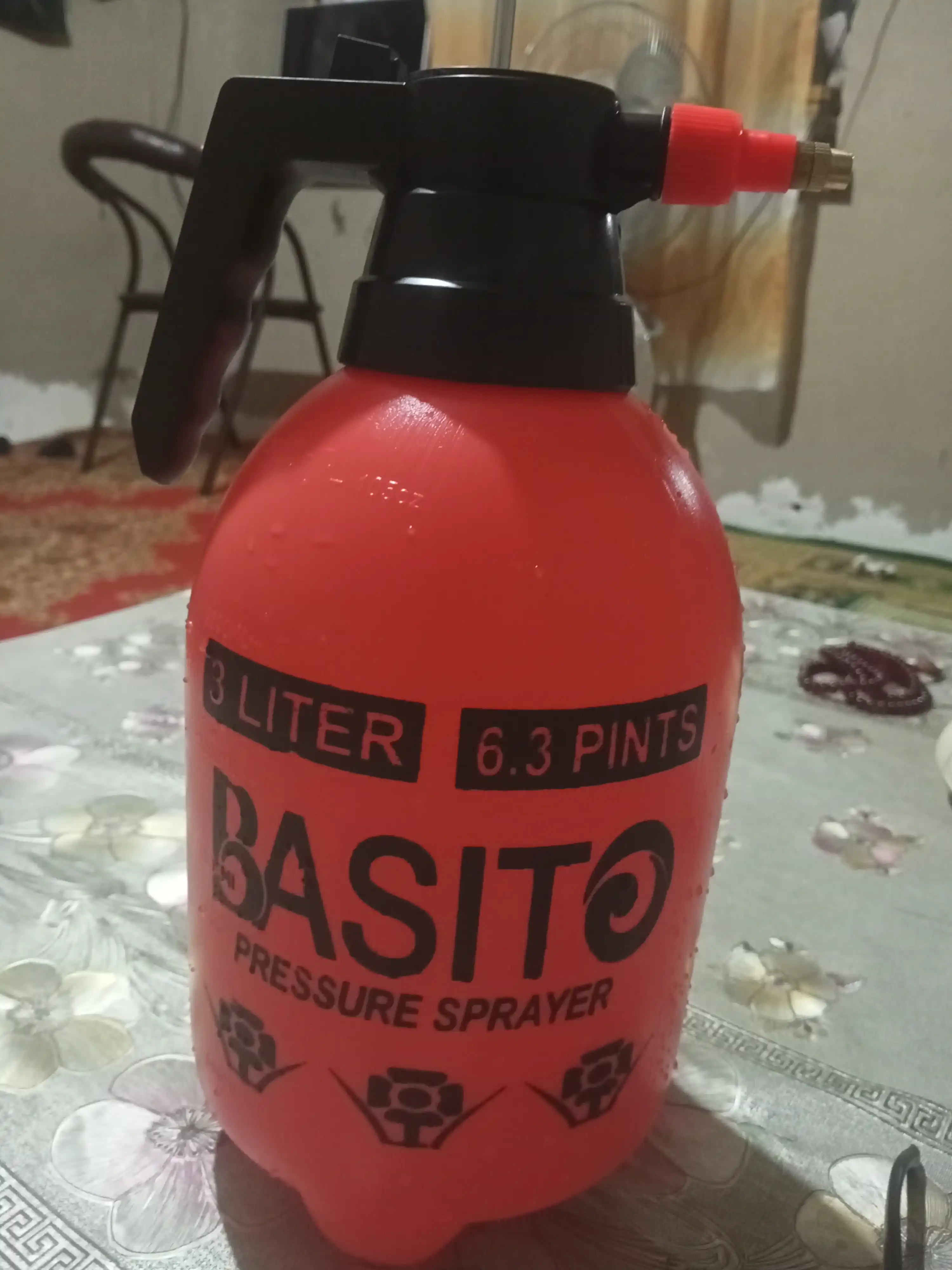 Basito purkagich