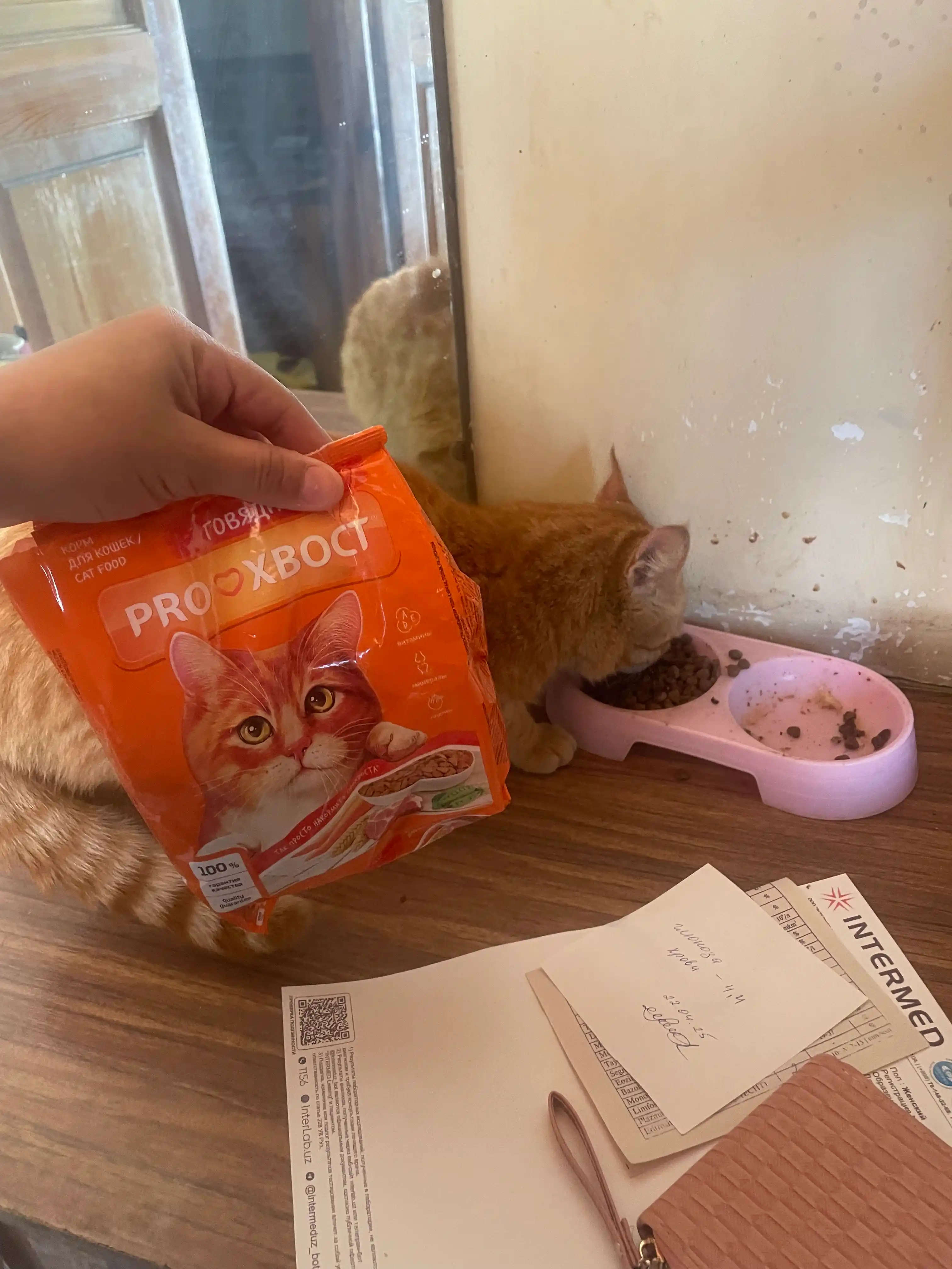 ProXвост mushuklar uchun quruq yem mol go'shti, 350 gr