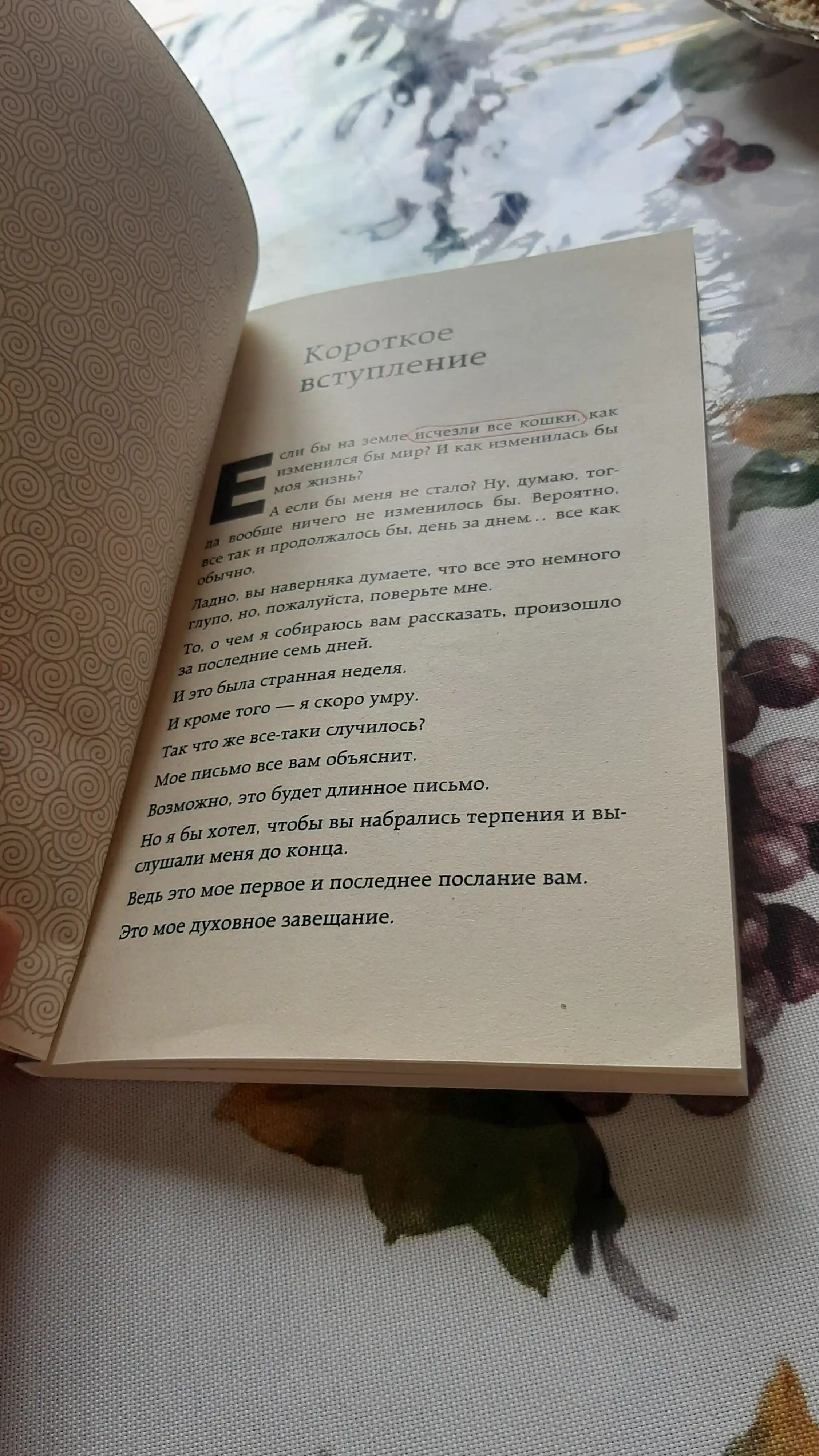 Если все кошки в мире исчезнут, Гэнки Кавамура