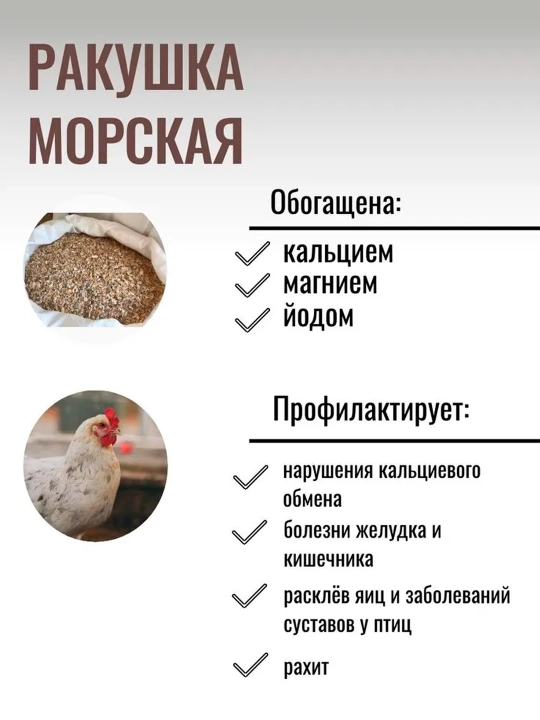 Ракушка кормовая для кур