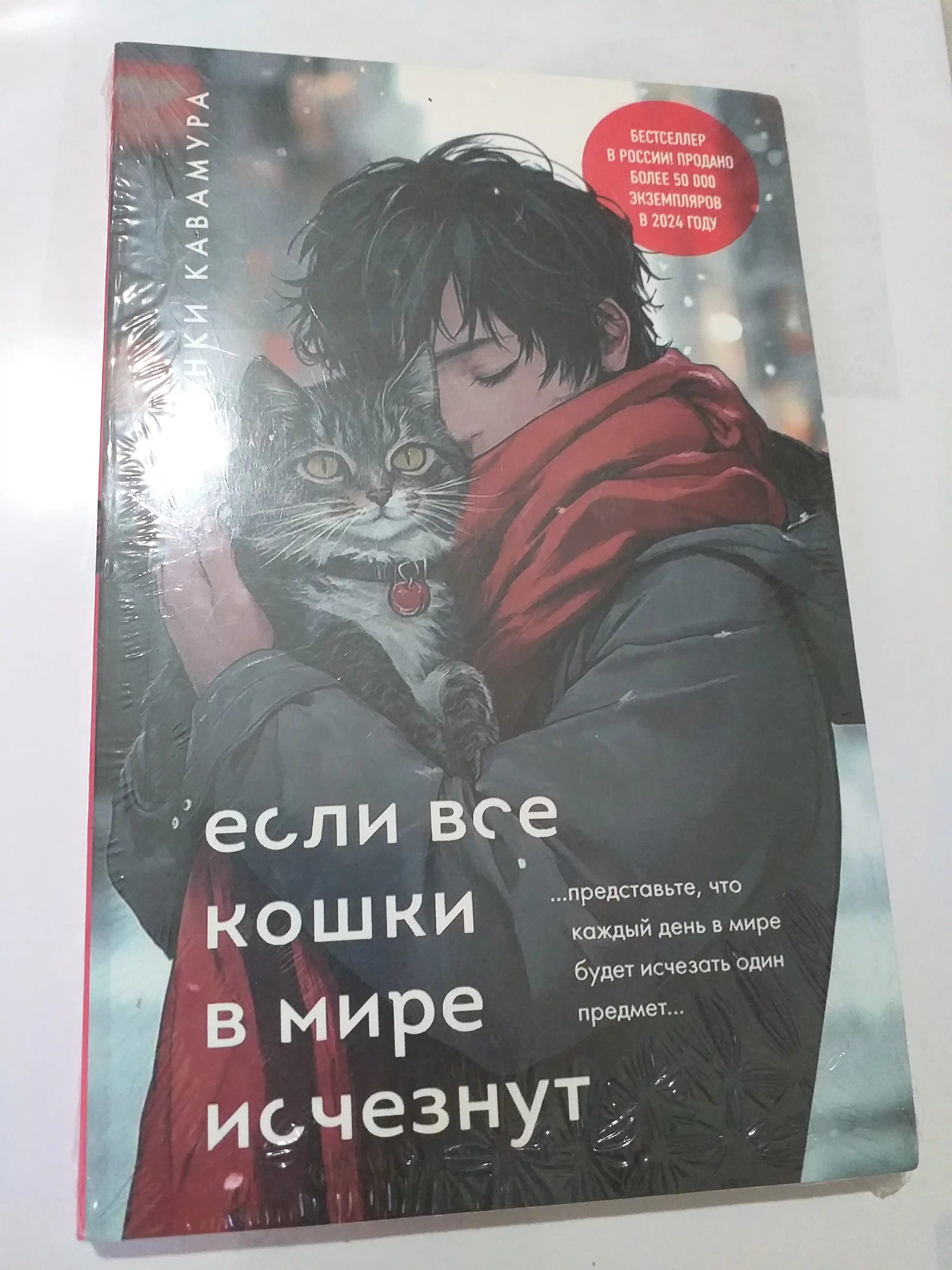 Если все кошки в мире исчезнут, Гэнки Кавамура